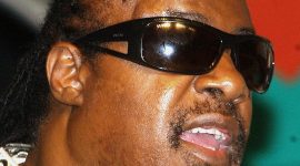 Stevie Wonder