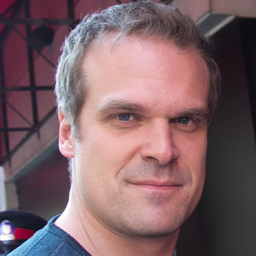 David Harbour Bio, Net Worth, Facts