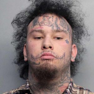 Stitches Biography