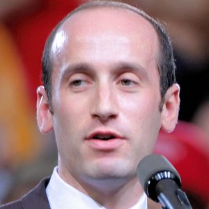 Stephen Miller Biography