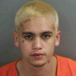 Dominic Fike Biography
